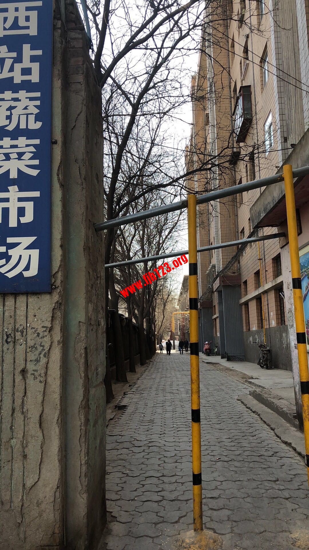 院子门口