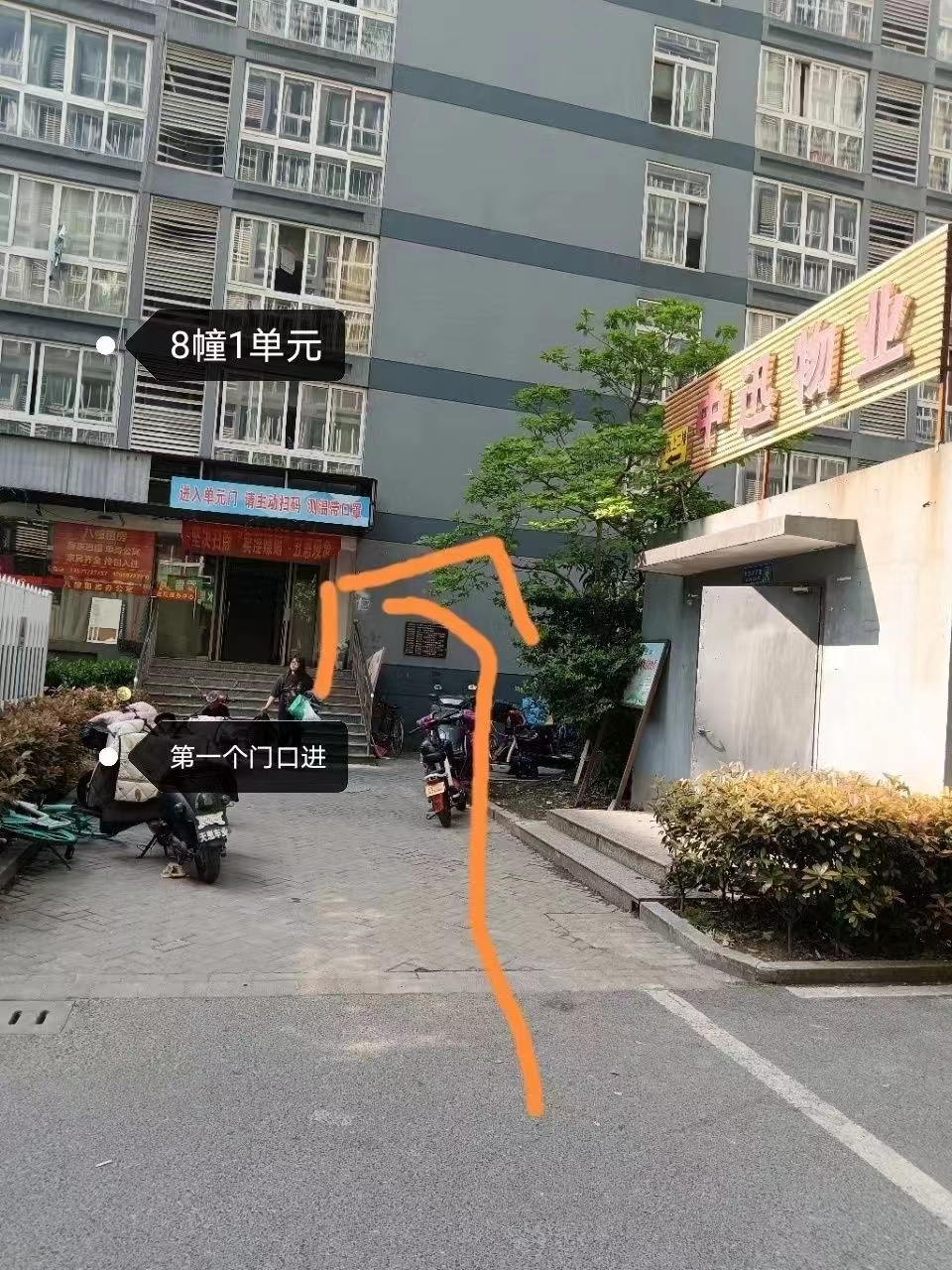Cache_-4667bdea3f40c55d.jpg